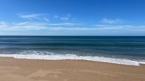 El Domo del ALF La Paz entre el bosque y el mar II in Sauce de Portezuelo
