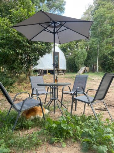 El Domo del ALF La Paz entre el bosque y el mar II in Sauce de Portezuelo