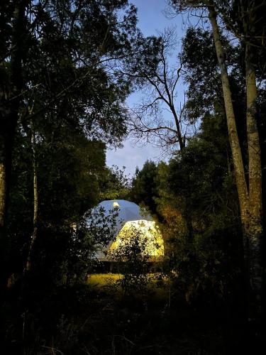El Domo del ALF La Paz entre el bosque y el mar II in Sauce de Portezuelo