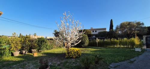 Studio independant avec terrasse a Juan les Pins in Trois Moulins