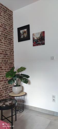 設施, Les Suites du Relais in 聖馬丁的布魯