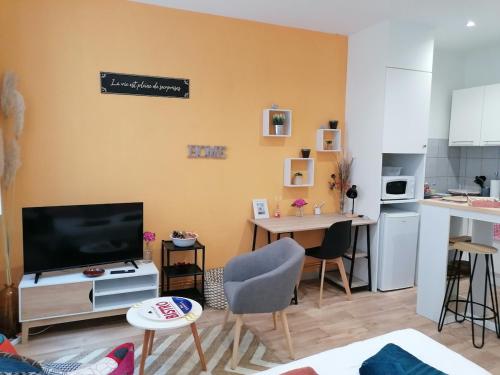 STUDIO Renove 26 m2 Centre Historique in Rodez