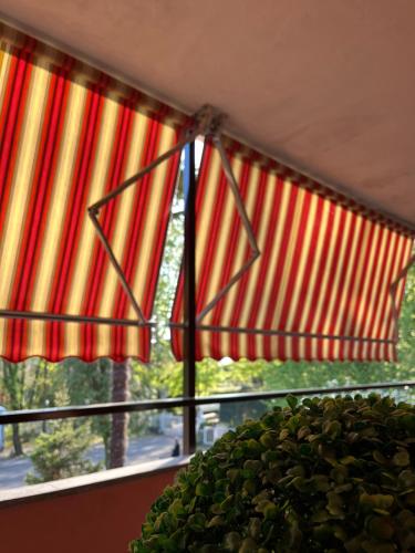 Lake & Nature Apartment, Ispra (Foto 8)