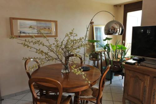 L'Alizée - Terrace overlooking the lake - Location saisonnière - Aix-les-Bains