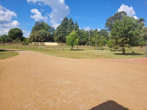 Beehive at Olds, Bloemfontein (fotografie 4)