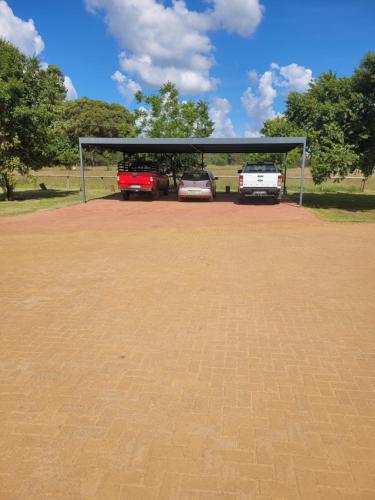 Beehive at Olds, Bloemfontein (fotografie 7)