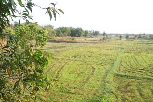 Surrounding environment, The Paradise Resort in Jhargram