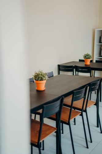 Green Coast Surf House in Espinho