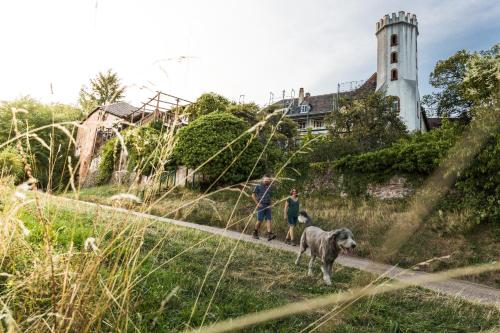 外部景觀, Ferienwohnung "Dorfblick" in 萊斯惠勒