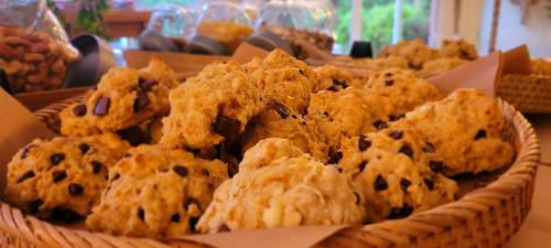 Hotel Tennis International - image 11