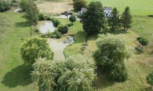 Gîte des étangs gîte à louer Trou des Gattes
