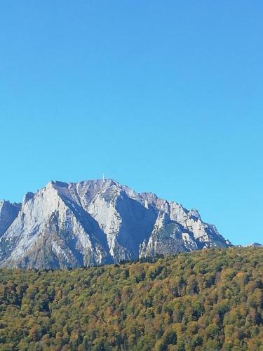 La munte Azuga, Azuga (foto 7)