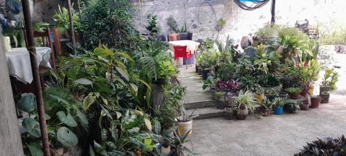 NoS Casa in รุยวาซ