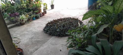 NoS Casa in รุยวาซ