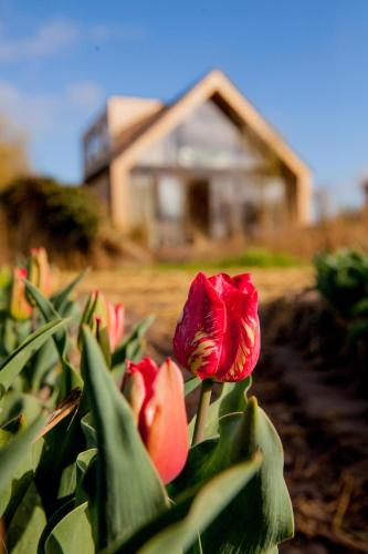 Ecohome Zilt - 8 pers - Zeezand Recreatie