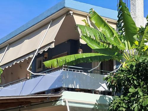Top floor on villa, 3' from center, by the sea! Host is Efi Kwsta, Preveza (fotografie 7)