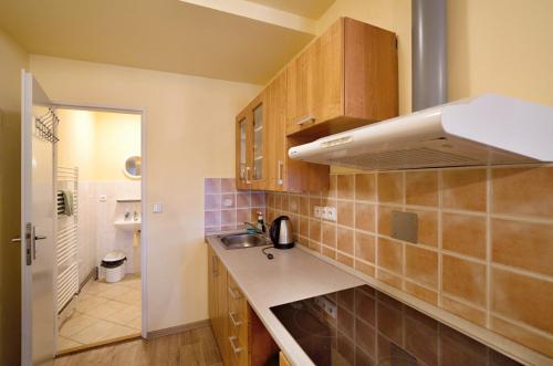 Konyha, Apartmány Na Vyhlídce (Apartmany Na Vyhlidce) in Strazne