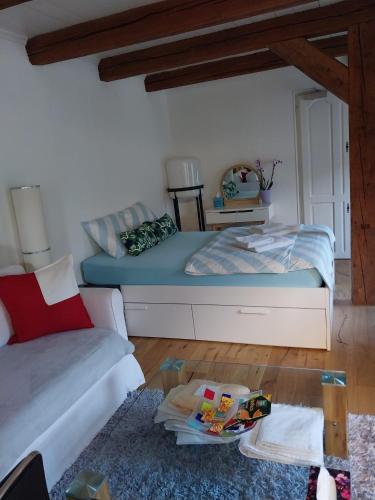 schickes gemütliches Studio in Bühler, Schweiz