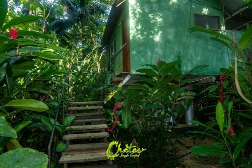 El Panchan in พาเรน