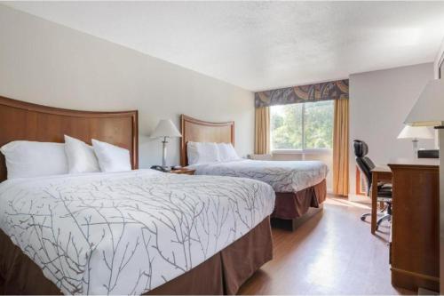 2 queen beds