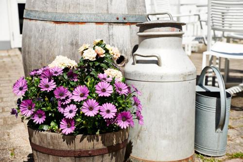 Danhostel Tisvildeleje - image 7