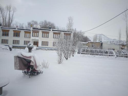 Double Room with Mountain View room in Kushu Guest House
