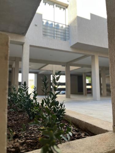 Los Molinos - confort, estilo y privacidad en Barrio Estación (Los Molinos - confort, estilo y privacidad en Barrio Estacion) in Villa Mercedes