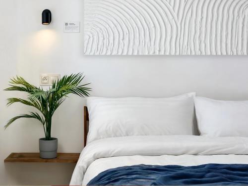 Cotiere - Grzybowo Cotiere - Grzybowo