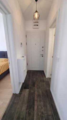 One-Bedroom Apartment image 2