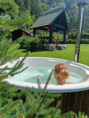 Schwarz Kabin in Lunca Bradului