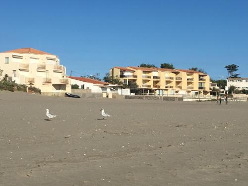 Grauplage near Le Cocotier
