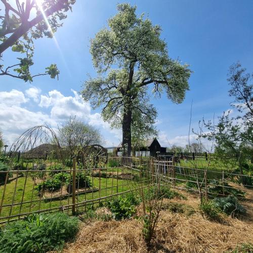 Chambre et animaux de la ferme in La Ferte-Frenel