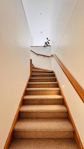 Escape to a Stylish Retreat House in Parkdale