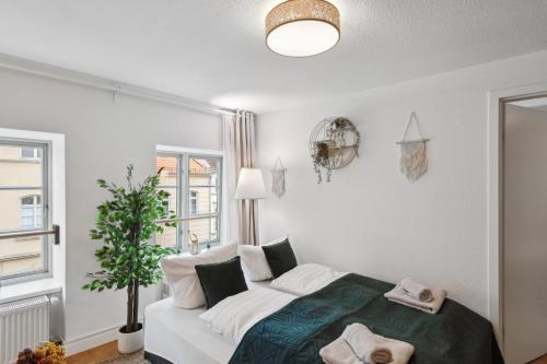 NEU Altstadtliebe - gemütliche Apartments in der historischen Altstadt, zentral und komfortabel