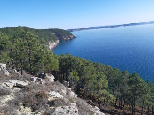 Grande maison sur propriete pres de la plage de Morgat in Morgat
