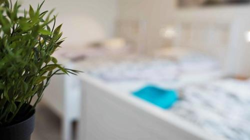 Stay and Work Düsseldorf