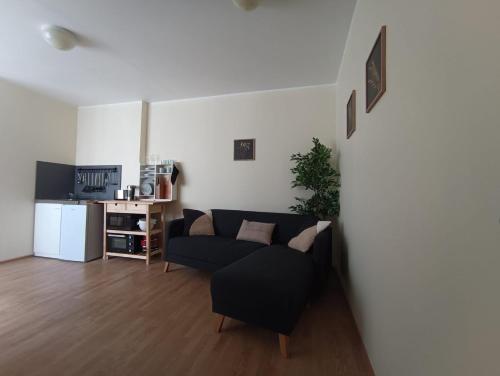 Viru Backpackers Hostel - image 14