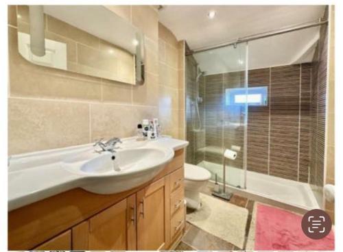 淋浴間, Charming Cottage minutes from Brixham! in 徹斯頓費勒斯