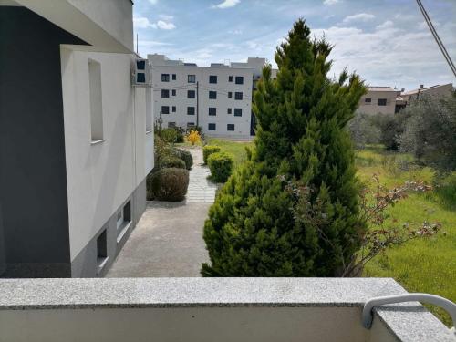 One-Bedroom Apartment image 9