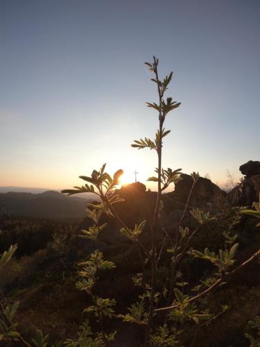 Dotări, Ferienhof Hofmann in Bobrach