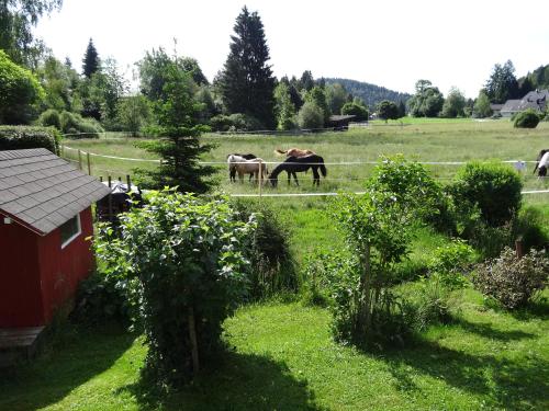 Ferienwohnung Mattenweg 1a 2.8km von Alpersbach entfernt