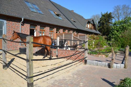 Gästehaus Peerhus Dönsel - buern (Gastehaus Peerhus Donsel - buern) in Barnstorf (Lower Saxony)