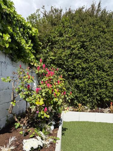 Superb Triple Room near Airport - 1 Superb Triple Room near Airport - 1