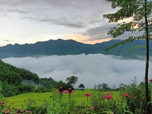 Long Chieu homestay in Nam Pi