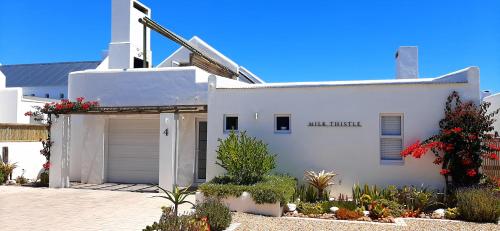 Milk Thistle Loft & Studio apartments