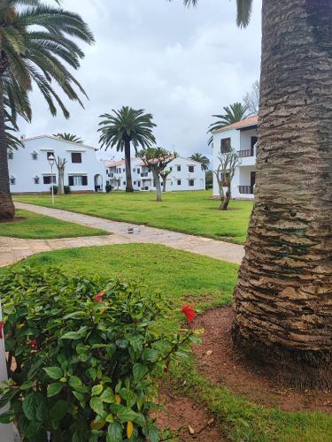 Apartamento colibrí, Alaior