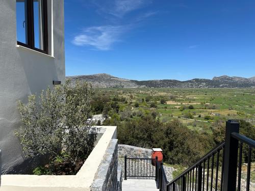 Dictamus Homes - image 8