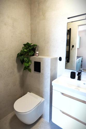 Apartamenty Rynek 12