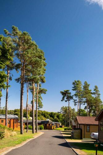 Surrounding environment, Percy Wood Country Park in Shilbottle