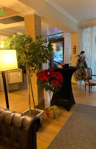 Lobby, Studio Hotel in Veliko Tarnovo